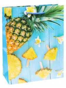 Пакет подарочный L/ПКП-6337 26,4*32,7*8 см с ламинацией