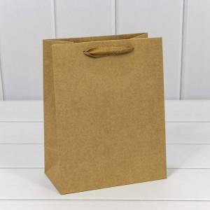 Пакет подарочный 18*23*10 см. Крафт / 000222Е