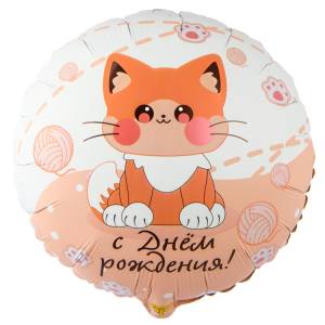 18" РУС ДР Котик усатый/ Китай 1202-4040