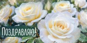 Конверт "Империя поздравлений" 3.0001796