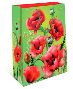 Пакет подарочный 26*32*12 см./ 0193.112