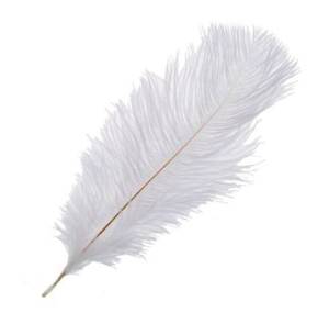 Перья страуса Белые (20-25 см) 5 шт. 