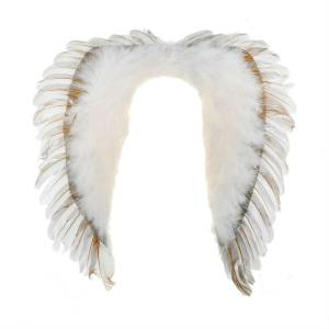 Крылья ангела 50*50-327472