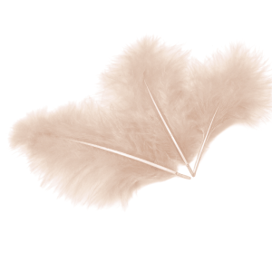 Набор перьев (шампань) 12-15 см., 30 шт. /6015524