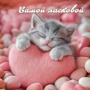 Бирка "Праздник" 5.0002175