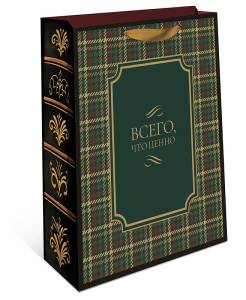Пакет подарочный 18*22,3*10 см / 1598.200