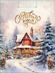 Пакет подарочный М/ПКП-6649 18*23*10 см 