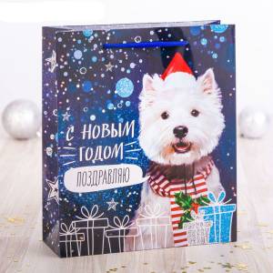 Пакет ламинат 2113725