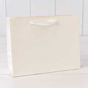 Пакет подарочный 18*23*10 см. Крафт белый / 000222Е/9