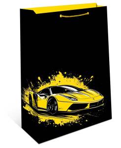 Пакет подарочный 18*22,3*10 см. / 1192.006