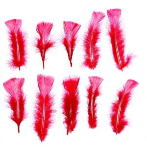 Набор перьев (фуксия) 10 шт. 