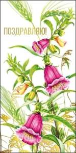 Конверт "М.П." 75710