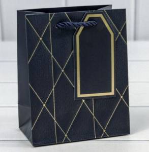 Пакет подарочный 12*15*7 см./ 88041108