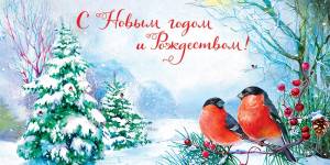 Открытка "А-Д" 0359.219