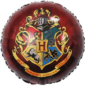 18" Круг, Волшебная школа, Дизайн №2 (Китай) / 27175