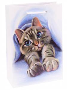 Пакет подарочный ML/ППК-6306 22*31*10 см с ламинацией