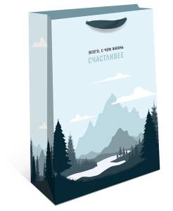 Пакет подарочный 18*22,3*10 см. / 2312.142