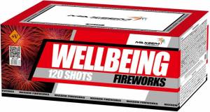 Wellbeing Fireworks 0.8" 120 залпов
