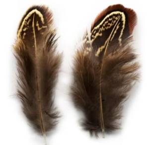 Перья Фазана Натуральный цвет (10 см) 10 шт. 