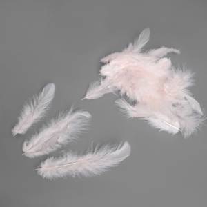 Набор перьев (нежно-розовые) 8-10 см. 100 шт./ч33102