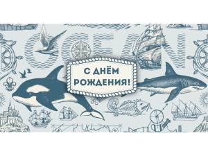 Конверт "Профит" Soft Touch  КСТ-0507