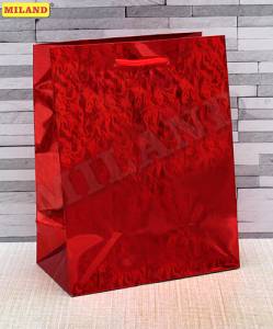 Пакет подарочный ПКП-0912 голография 18*23*10 см.