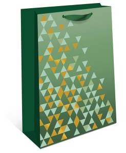 Пакет подарочный 18*22,3*10 см / 1598.249