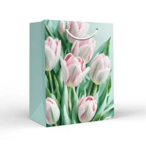 Пакет подарочный (М) 22,7*18 см/ 15.11.02665