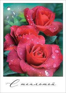 Открытка "Праздник" 2901811