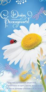 Конверт OPTIMA 1-04-0097