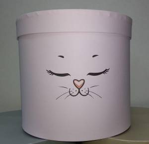 Коробка Кошка с ушками 20*20*18 см 