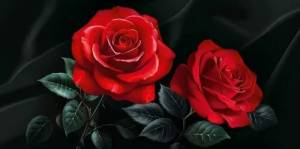 Конверт "Империя поздравлений" 3.0000569