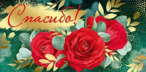 Конверт "Империя поздравлений" 41139