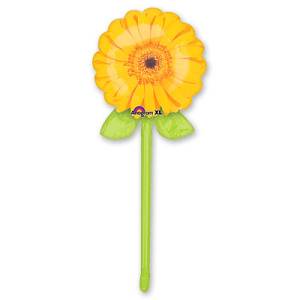 Георгин в ассортименте