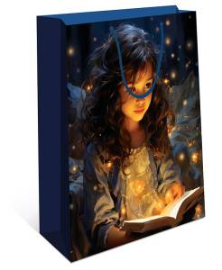 Пакет подарочный 26*32*12 см. / 0193.391