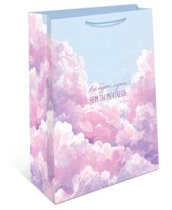 Пакет подарочный 26*32*12 см. / 1193.048