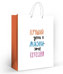 Пакет подарочный (L) 32,7*26 см / 10000251