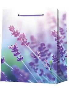 Пакет подарочный ППК-1778 18*23*10 см