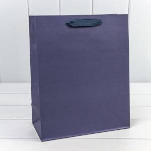 Пакет подарочный 26*32*13 см. Крафт "Люкс" синий / 000221С/287