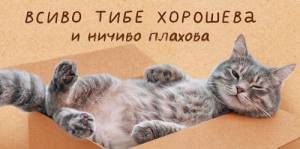 Конверт "Открытая планета" 9.0001131