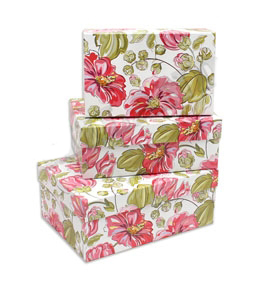 Коробка 21*14*5,5 см. ПП-0572