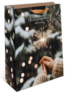 Пакет подарочный 26*32*12 см./ 1310.916