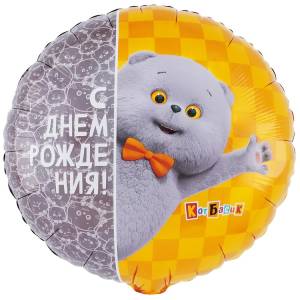 18" РУС ДР Кот Басик / Китай 1202-4145