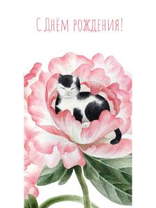 Конверт "Профит" Soft Touch  КСТ-0504