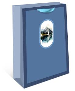 Пакет подарочный 23*26*12 см. / 2310.143