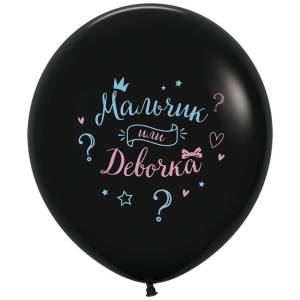 24" паст Мальчик или Девочка 2цв/ Россия (624012-1)