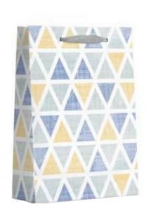 Пакет подарочный ПКП-6539 18*24*8,5 см. с матов.ламинацией