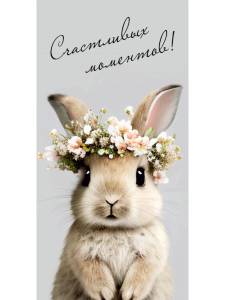 Конверт для денег 1-05-0288