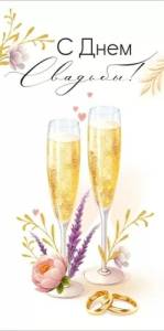 Конверт "Империя поздравлений" 3.0001210