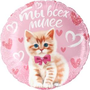 18" Круг, Ты всех милее (котенок) /Китай 13485